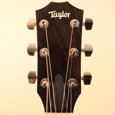Taylor 110e Walnut 2017#2211141423【NEW】【スプルース単板】_10