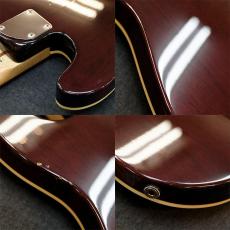 Fender Japan APJ-DMC_5
