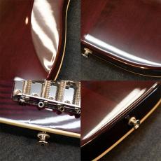 Fender Japan APJ-DMC_6