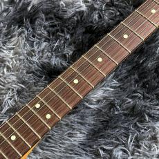 Fender American Professional Classic Telecaster Faded Dakota Red / Rosewood【特価】_5