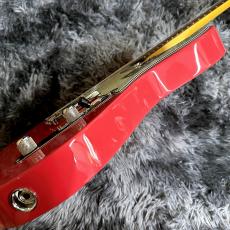 Fender American Professional Classic Telecaster Faded Dakota Red / Rosewood【特価】_10