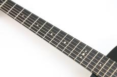 Taylor Gold Label 714e【チョイ傷特価】_7