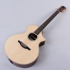 James J-300CII/Glossy