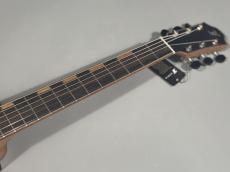 Furch Guitars Red Pure Gc-SR a_4