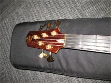 TUNE TUNE Phoenix Custom order NPH-5 Padauk_4