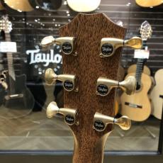 Taylor Custom GAce Lutz Spruce / Sassafras_7