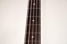 XOTiC XJ-1T 5st Alder/R -Electrum Metallic- [4.50kg]_10