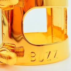 buzz AS/GP_3