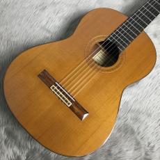 Paulino Bernabe 1975年製 杉 / 中南米ローズウッド【660mm】【パウリーノ・ベルナベ1世】