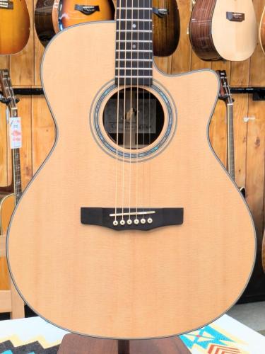 Morris R-14 NAT 【L.R.Baggs Element搭載】