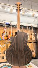 Morris R-14 NAT 【L.R.Baggs Element搭載】_4