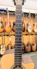 Morris R-14 NAT 【L.R.Baggs Element搭載】_7