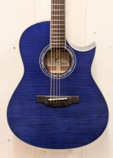 Morris TC-16 SBU 【L.R.Baggs Element搭載】