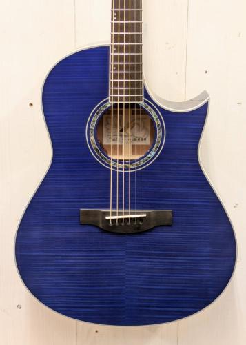 Morris TC-16 SBU 【L.R.Baggs Element搭載】