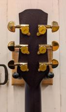 Morris TC-16 SBU 【L.R.Baggs Element搭載】_6