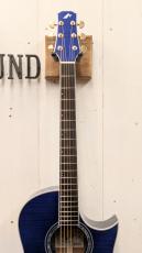 Morris TC-16 SBU 【L.R.Baggs Element搭載】_7