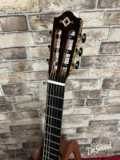Martinez マルチネス MP-14 Ziricote _7