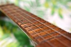 Kamaka SOPRANO STD 【ブルー・パイナップル・デカール 1930頃】_7