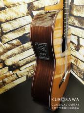 Jose Ramirez [ホセ・ラミレス] ホセ・ラミレス ESTUDIO 140 CWE エレガット 杉 C 最新モデル! 【日本総本店2F 在庫品】_9