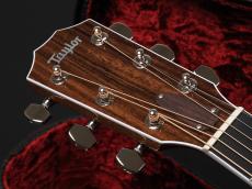 Taylor Legacy 810e ~Legacy Collection~【ファーストロットモデル!】_3