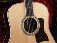 Taylor Legacy 810e ~Legacy Collection~【ファーストロットモデル!】_4