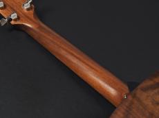 Taylor AD17 Natural w/Element VTC ~American Dream Series~ _10