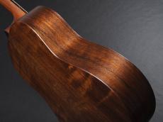 Taylor AD17 Natural w/Element VTC ~American Dream Series~ _12