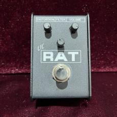 Pro Co LIL' RAT_2