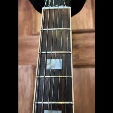 Gibson ES-335_5