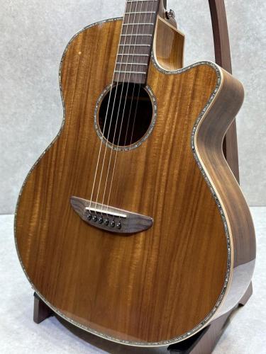 DCT  VR-645K CE 【アウトレット特価!!】【某アーティスト使用モデル】【池袋店在庫品】