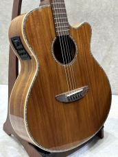 DCT  VR-645K CE 【アウトレット特価!!】【某アーティスト使用モデル】【池袋店在庫品】_3