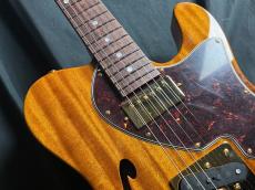 FREEDOM CUSTOM GUITAR RESEARCH Brown Pepper_3