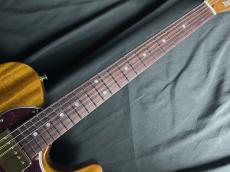 FREEDOM CUSTOM GUITAR RESEARCH Brown Pepper_5