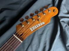 FREEDOM CUSTOM GUITAR RESEARCH Brown Pepper_6
