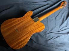 FREEDOM CUSTOM GUITAR RESEARCH Brown Pepper_7