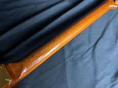 FREEDOM CUSTOM GUITAR RESEARCH Brown Pepper_9