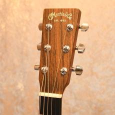 Martin D-16GT_3