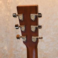 Martin D-16GT_4