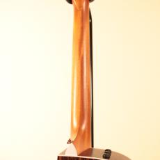 Taylor 210ce RW#2209061463【NEW】【ローズウッド】_7