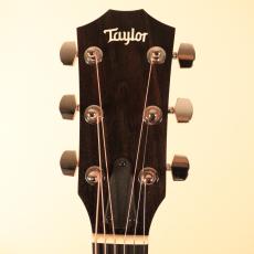 Taylor 210ce RW#2209061463【NEW】【ローズウッド】_10