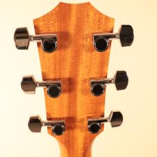 Taylor 210ce RW#2209061463【NEW】【ローズウッド】_11