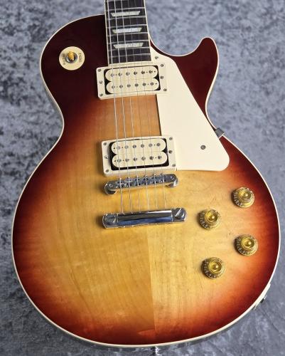 Gibson Les Paul Standard '50s Double Trouble / Vintage Bourbon Burst #212750089 [4.07kg]