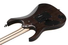 Ibanez RG8620AH 「AGF (Anvil Gray Burst Flat) 」 クロサワ楽器店国内独占販売モデル 限定10本のみ_4
