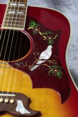 Gibson DOVE【無金利キャンペーン】_4