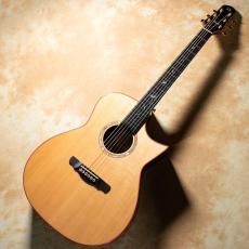 NATASHA JC-7A w/L.R.Baggs HiFi