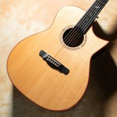 NATASHA JC-7A w/L.R.Baggs HiFi_2