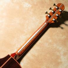 NATASHA JC-7A w/L.R.Baggs HiFi_6