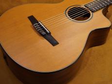 Taylor 512ce-N JPN LTD 2017_2