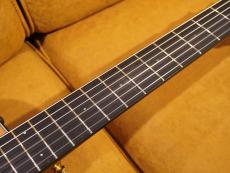 Taylor 512ce-N JPN LTD 2017_5