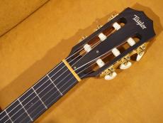 Taylor 512ce-N JPN LTD 2017_6